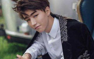 杨柳爆料王俊凯视频完整版,王俊凯视频完整版幕后故事大公开  第2张